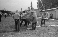 item14