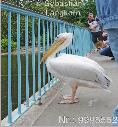 DSC05875