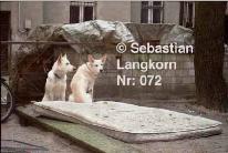 E00722004BerlinSebastianLangkorn