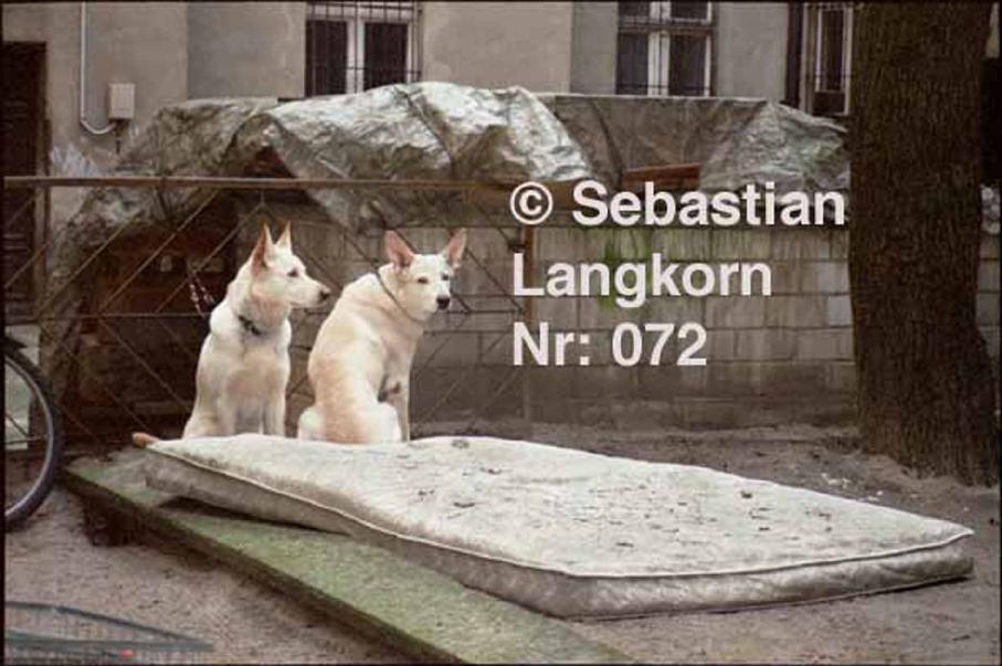 E00722004BerlinSebastianLangkorn