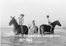 E0084TiereSebastianLangkorn1976Brandenburg