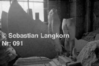 E0091SebastianLangkorn1985Dresden