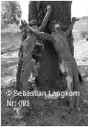 E0095SebastianLangkornMittelpunkt1975Lausitz