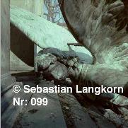 E0099SebastianLangkornKonfrontation