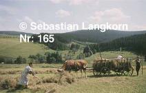 E01651965Thuringen