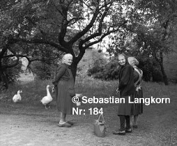 E01841972Lausitz