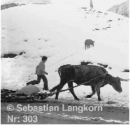E0303TransportSebastianLangkorn1978Kaukasus