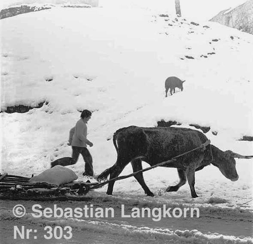 E0303TransportSebastianLangkorn1978Kaukasus