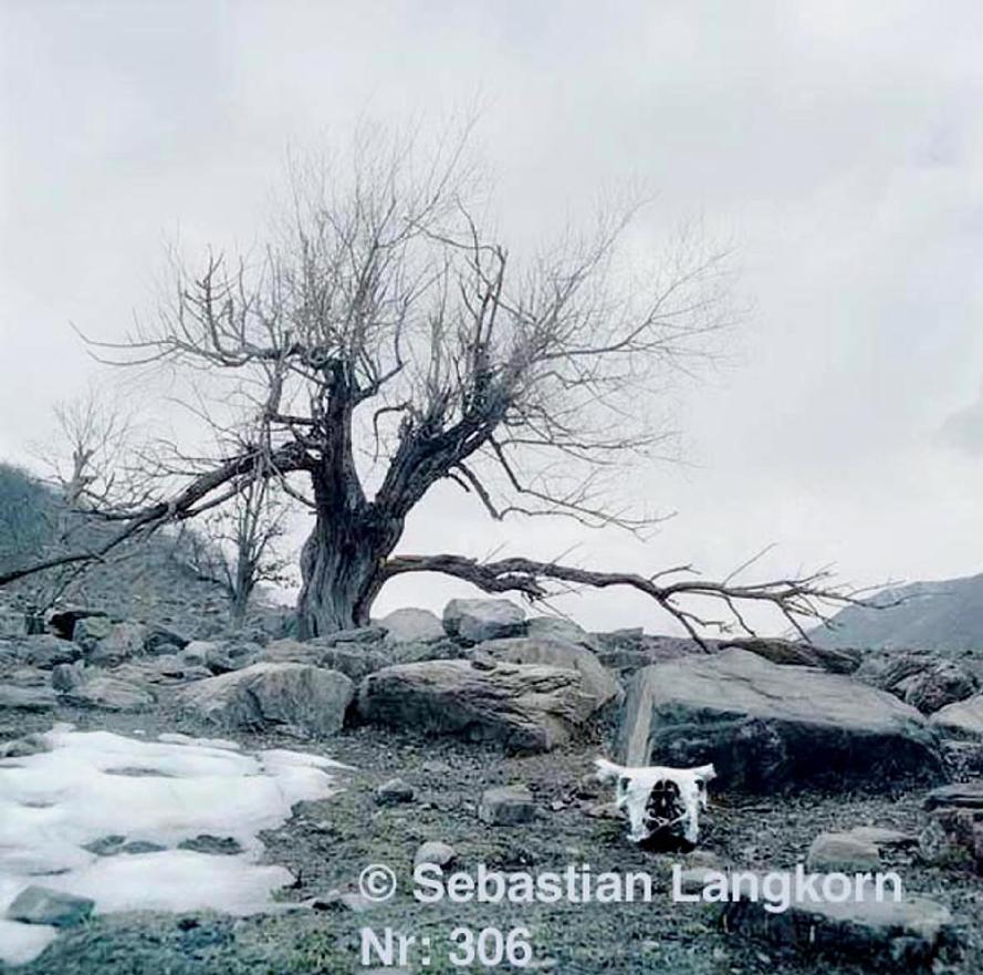 E0306SebastianLangkornKontinent