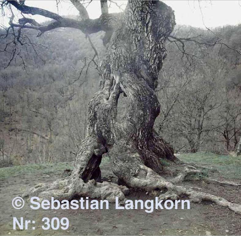 E0309SebastianLangkorn1978Kaukasus