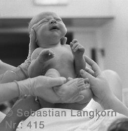 E0415GeburtSebastianLangkorn1987