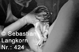 E0424GeburtSebastianLangkorn1987