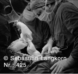 E0425MedizinSebastianLangkorn