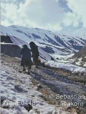 E0448SebastianLangkornKontinent