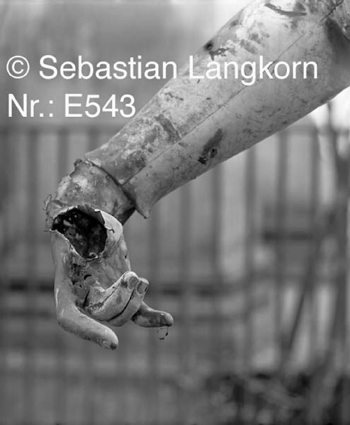E0543SebastianLangkornKonfrontation
