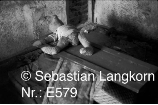E0579TagebauSebastianLangkorn1987GroLubbenau