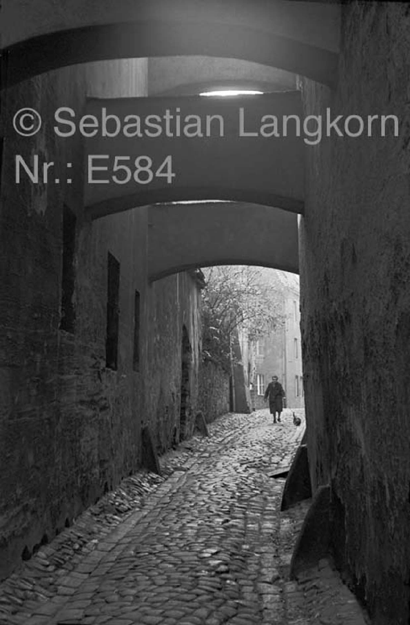 E0584SebastianLangkornKontinent