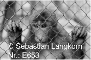 E06531964Berlin