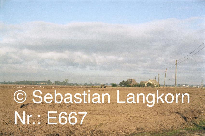 E0667SebastianLangkorn1991Vorpommern