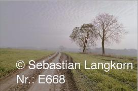 E0668SebastianLangkorn1991Vorpommern
