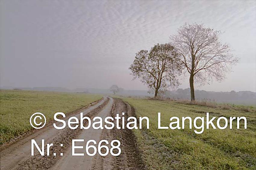 E0668SebastianLangkorn1991Vorpommern