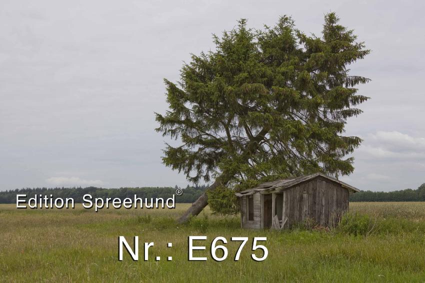 E0675SebastianLangkorn2009Brandenburg