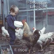 E0904TiereSebastianLangkorn1986Berlin1