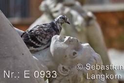 E0933SebastianLangkorn2017Rom