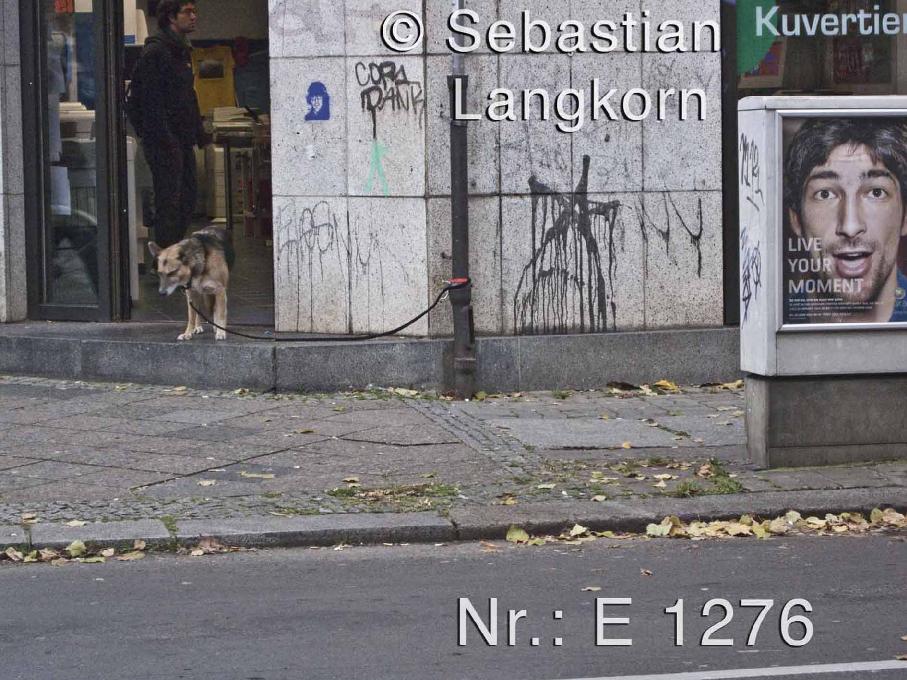 E12762008BerlinSebastianLangkorn