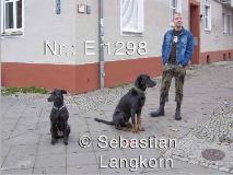 E1298SebastianLangkorn2008Berlin