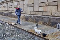 E1478SebastianLangkornDresden2017