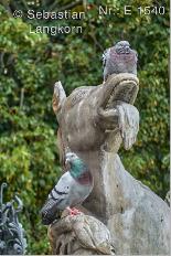 E1540SebastianLangkornjpg2020Danzig