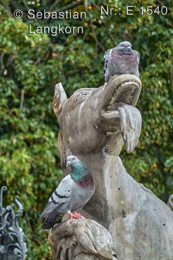 E1540SebastianLangkornjpg2020Danzig