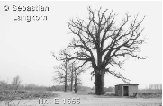 E1555TagebauSebastianLangkornGroLubbenau