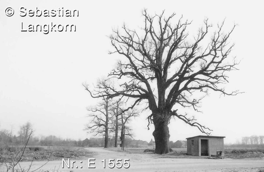 E1555TagebauSebastianLangkornGroLubbenau