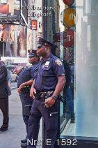 E15922015NewYorkSebastianLangkorn