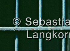 E16731966BerlinSebastianLangkorn