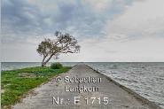 E17152021LitauenKurischeNehrungSebastianLangkorn