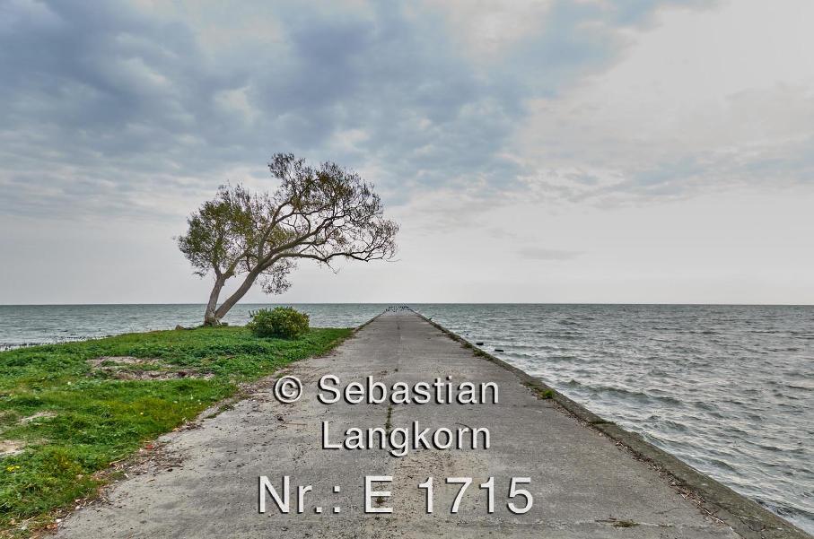 E17152021LitauenKurischeNehrungSebastianLangkorn