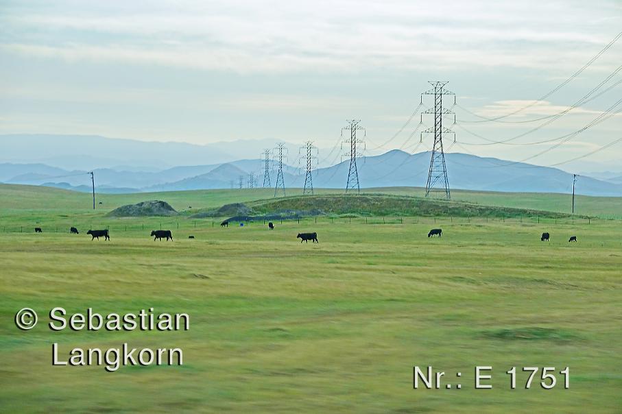 E1751USAWestkusteSebastianLangkorn