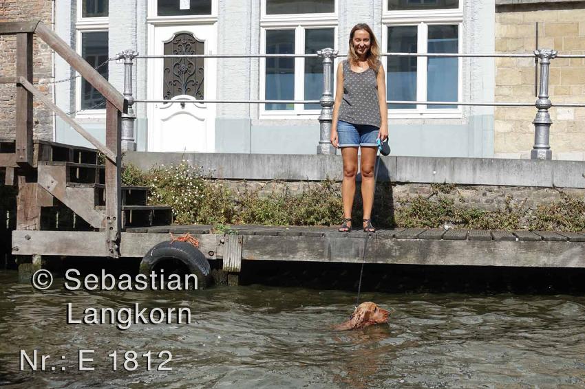 E1812TiereSebastianLangkorn2018Brugge