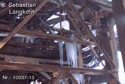 FilmAbstich10037131993UnterwellenbornSebastianLangkorn