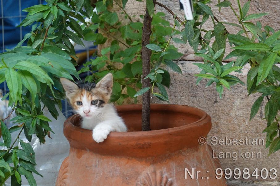 GriechenlandSebastianLangkorn