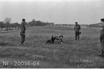GSTSebastianLangkorn8