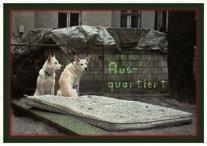Hundehof