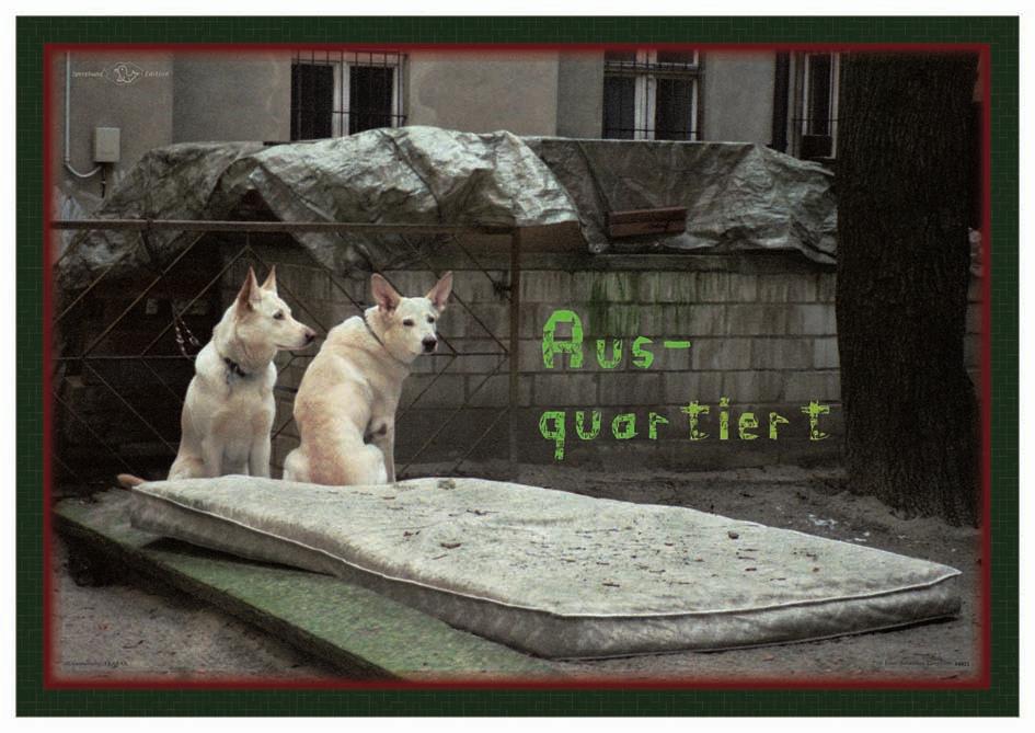 Hundehof