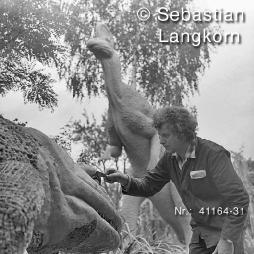 Saurierdorf4116431SebastianLangkorn