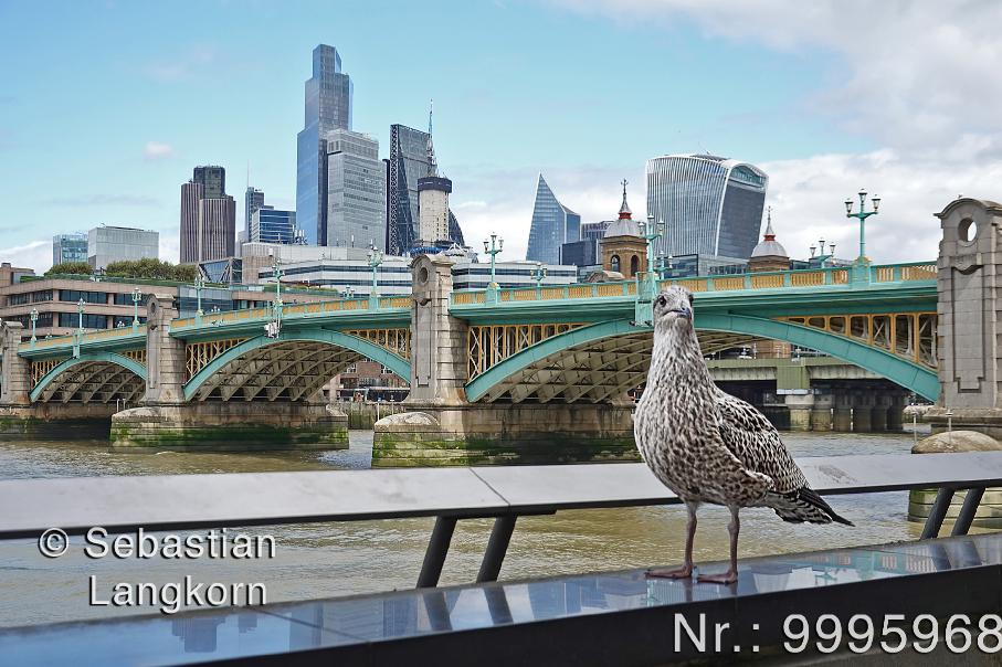 SebastianLangkornLondon