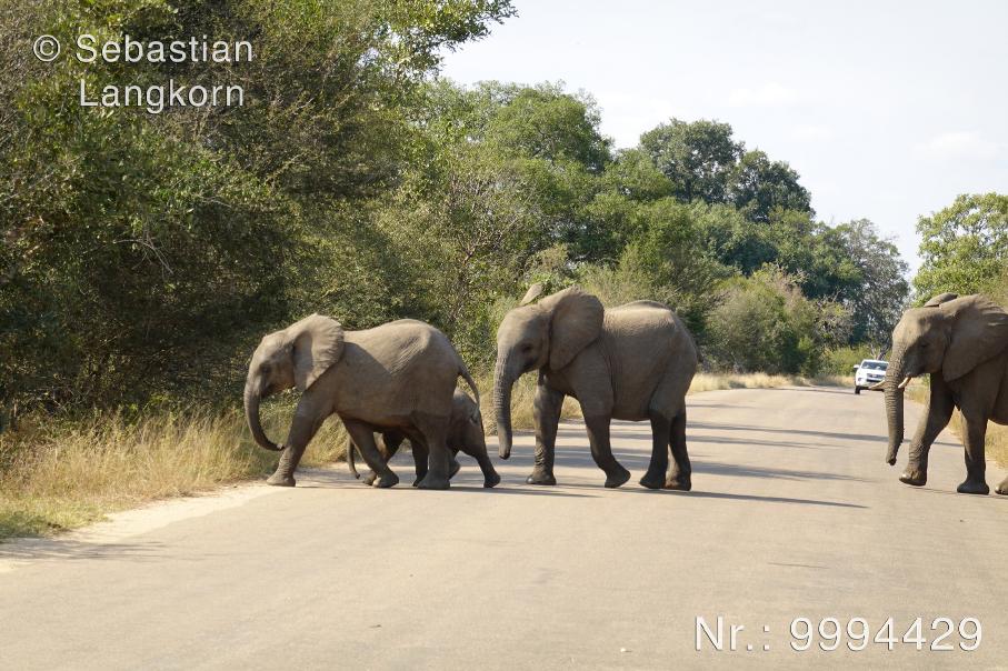 SebastianLangkornSudafrika