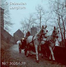 SebastianLangkornKontinent2